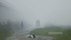 ধোঁয়ায় দূষণ