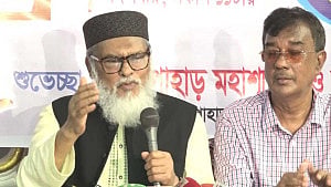 Temple vandals have ‘no religion’: adviser