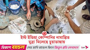চুয়াডাঙ্গায় মাটির নিচে পিতলের কলস, মিলল বিপুল ধাতব মুদ্রা