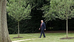 Trump moves to passenger seat after Ukraine, Gaza blitz