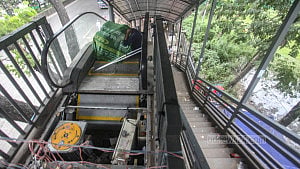 Escalators left idle
