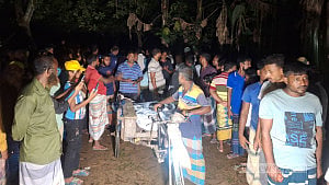 গাইবান্ধায় কলাবাগানে গৃহবধূর গলাকাটা লাশ, স্বামী পলাতক