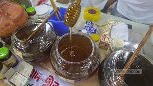 ঢাকায় মধু মেলা