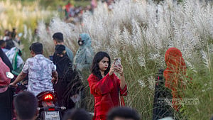 দিয়াবাড়ির কাশবনে মানুষের ‘ঢল’