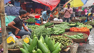 After a month, vegetable prices ease slightly