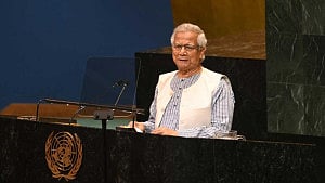 সার্ক পুনরুজ্জীবনে জোরালো আহ্বান প্রধান উপদেষ্টার