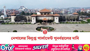 বিলুপ্ত পার্লামেন্ট পুনর্বহাল চায় নেপালের রাজনৈতিক দলগুলো
