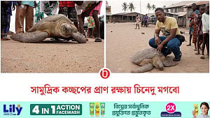 সামুদ্রিক কচ্ছপের প্রাণ বাঁচাচ্ছেন নাইজেরিয়ান তরুণ
