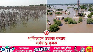 পাকিস্তানে বন্যায় ক্ষতিগ্রস্ত ১৮ লাখ একর ফসলি জমি