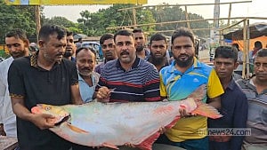 পদ্মার এক ‘ঢাই’ মাছ বিক্রি হল ১ লাখ টাকায়