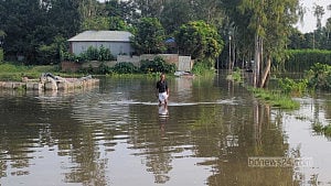 যমুনার পানি ফের বাড়ছে, সবজি আবাদ নিয়ে শঙ্কা
