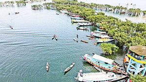 Luxury on board, waste in water: True cost of Tanguar Haor tourism