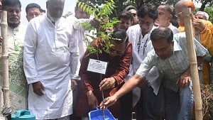 আগামী পাঁচ বছরে ৩ লাখ গাছ লাগাবে ঢাকা দক্ষিণ সিটি করপোরেশন
