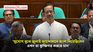 জাতীয় সংসদে জুলাই আন্দোলনকারীদের ‘দীঘির শৈবাল’ আখ্যা দিলেন বিএনপির এমপি
