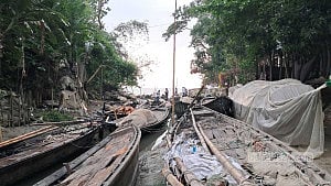 Chandpur fishers prepare to return to Meghna as hilsa ban ends