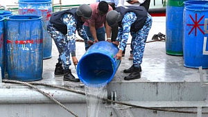 Shrimp fry ‘worth Tk 60mn’ seized in Ctg