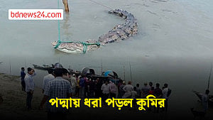 ফরিদপুরে পদ্মায় ধরা পড়ল কুমির