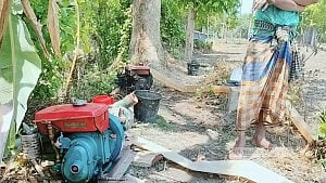 ডিজেল সংকট: গোপালগঞ্জে বোরো ও পাটের সেচ নিয়ে শঙ্কায় কৃষক