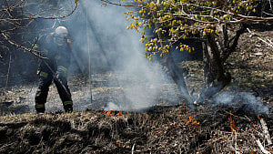 Japan deploys 1,400 firefighters as wildfires rage in the north