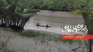 সুন্দরবন: প্রকৃতির পাঠশালায় কয়েকটি দিন