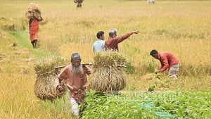 রাজস্ব সংস্কার: সম্পদ কর কি কৃষকের গলার কাঁটা হবে?