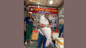 পদ্মায় জেলের জালে ২৫ কেজির কাতল, বিক্রি ৪৮ হাজারে