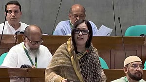 Bring US trade deal to parliament: Rumeen