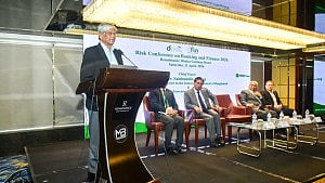 BB must resist pressure for new bank: ex-advisor