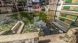 Centennial Sikkatuli Pond nears extinction