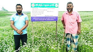 চৌহালীর চরাঞ্চলে কালোজিরা চাষে নতুন সম্ভাবনা, কৃষকের মুখে হাসি