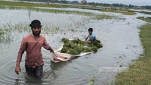 বিপৎসীমার নিচে আরও ২ নদীর পানি, হাওরে বন্যার উন্নতি