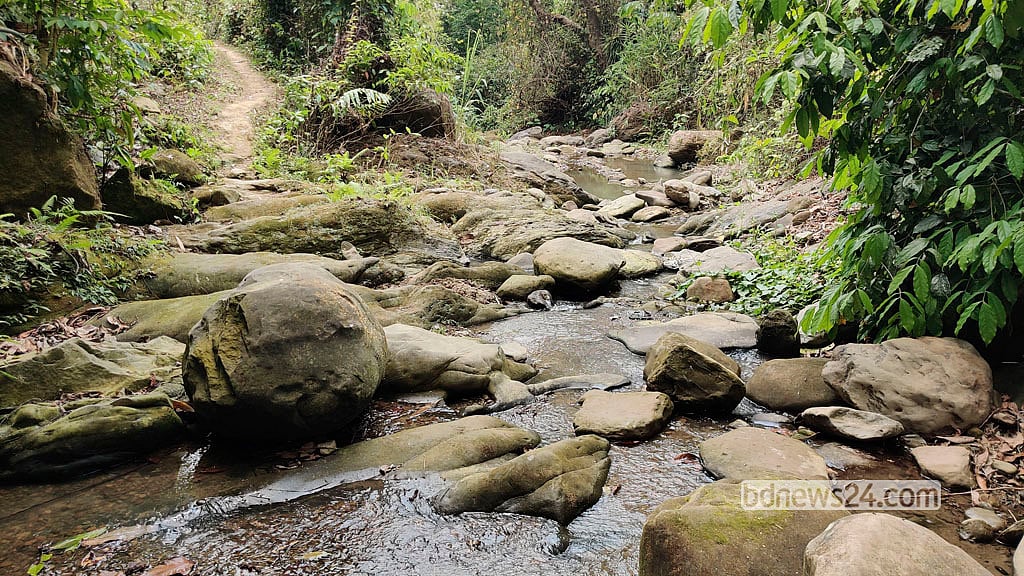 আলীকদমের ব্যাঙঝিরি পাড়াবনের নিচের অংশ। গাছ কাটার আগে গোটা ঝিরিই এমন পাথর ভরা ও স্বচ্ছ পানি ছিল। ছবি: উসিথোয়াই মারমা