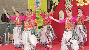 সংস্কৃতিচর্চার 'জানালা খুলে রাখার’ প্রত্যাশা বসন্ত উৎসবে