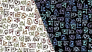 ভাষার রাজনীতি ও গণতন্ত্রের ভবিষ্যৎ