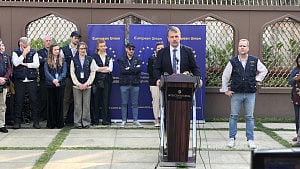 EU mission says election situation under control so far