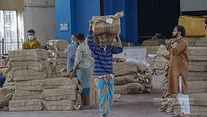গণভোটের ব্যালট পেপার বিতরণ শুরু