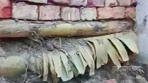 Banana trunks found inside Madaripur roadside wall