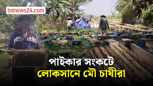 শরীয়তপুরে পাইকার সংকটে মৌ চাষীরা