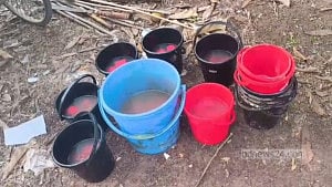 শরীয়তপুরে ১২ বালতিতে রাখা ৯৫ ককটেল উদ্ধার, আটক ৩