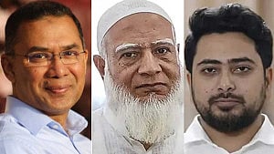 Half of new parliament are fresh faces