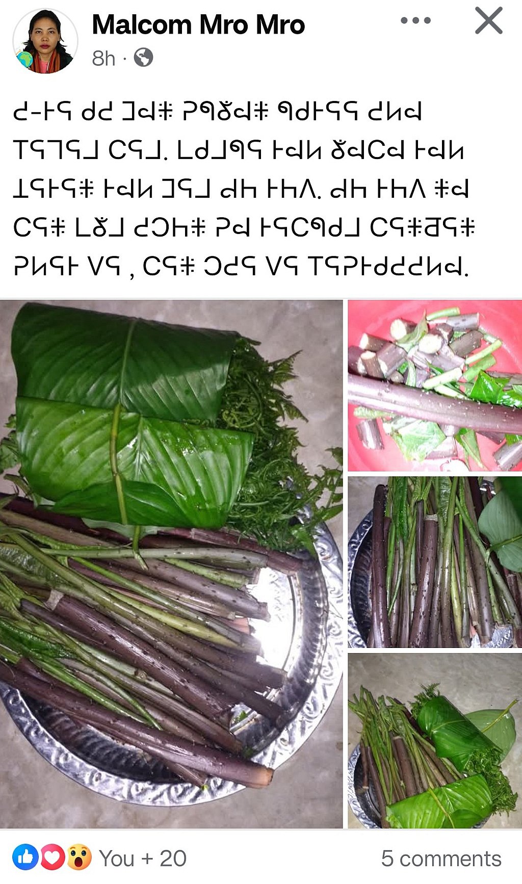 ম্রো ভাষায় ফেইসবুকের পোস্ট