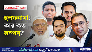 হলফনামা: তারেক, নাহিদ, শফিকুরদের আয় কত?