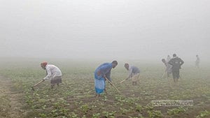 শৈত্যপ্রবাহে কাহিল জনজীবন