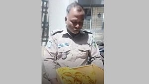 কার্টনে ভরে চলন্ত বাইক থেকে নবজাতককে ছুড়ে দেয় ২ যুবক, পরে মৃত্যু