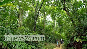 Picnics in national parks, filming in protected forests banned