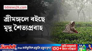 শ্রীমঙ্গলে তাপমাত্রা ৮.৬ ডিগ্রি সেলসিয়াস, শীতে জবুথবু জীবন
