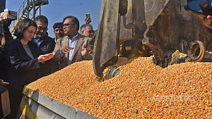 Corn arrives from the United States