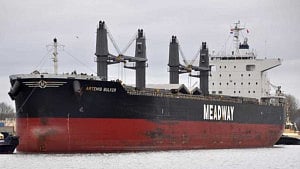 US ships another 58,000 tonnes of wheat