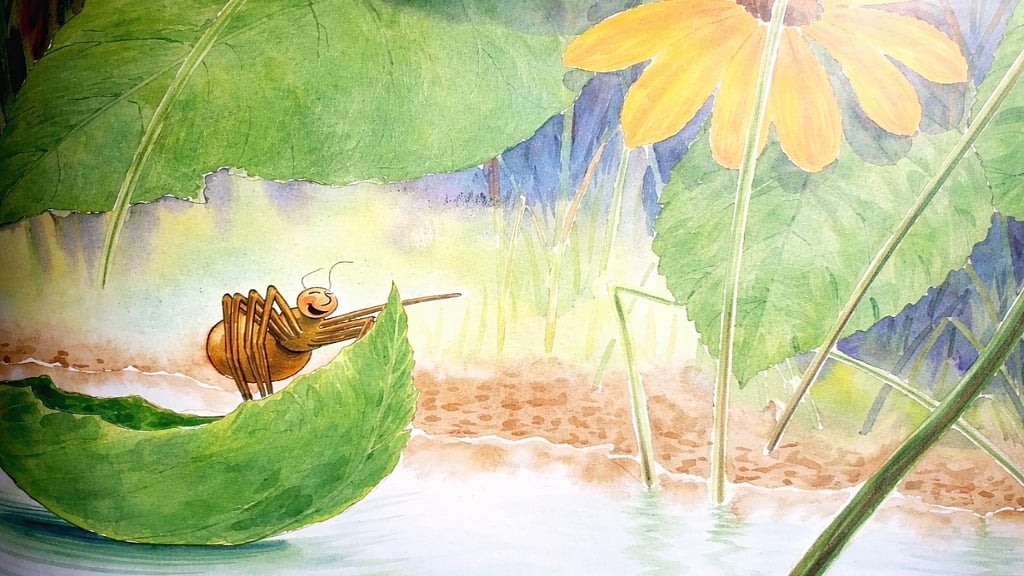 ‘ডায়েরি অফ অ্যা স্পাইডার’ বইয়ের ভেতরের একটি অলঙ্করণ। 