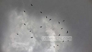 সুস্পষ্ট লঘুচাপ পরিণত নিম্নচাপে